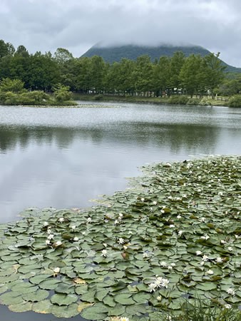 矢ケ崎公園から雲に隠れた浅間山が