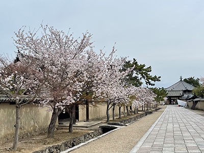 （築地塀の道）