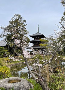 （法起寺　日本最古の三重塔）